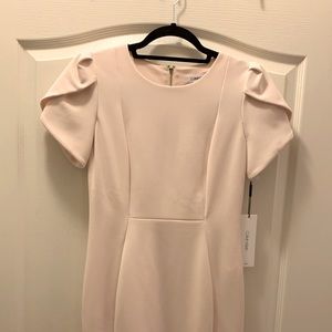 Calvin Klein Champagne Pink Dress NWT